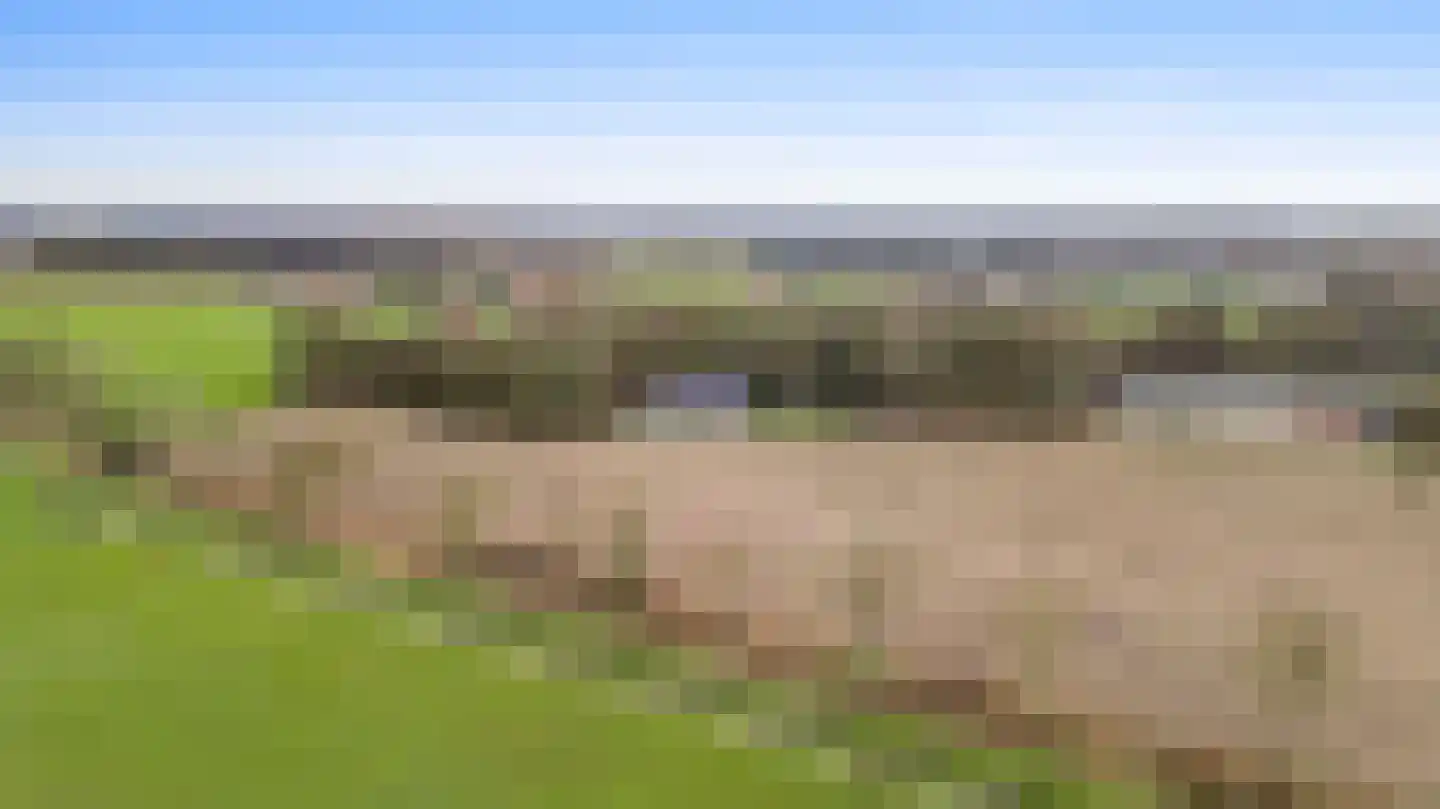 Braakpeel 5 Nederweert-Eind thumbnail 64