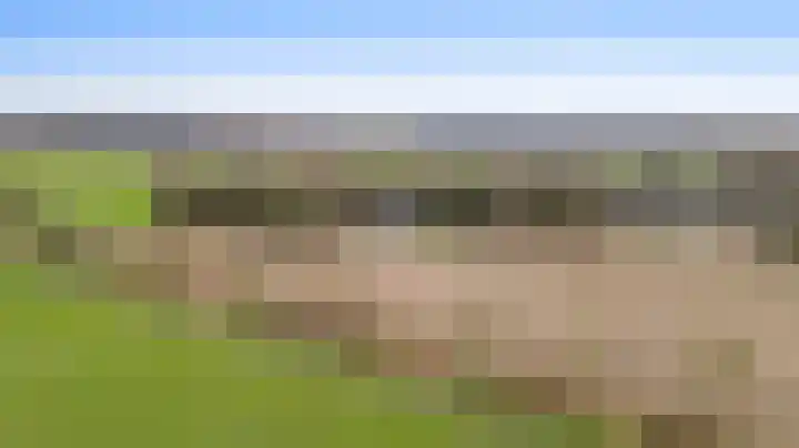 Braakpeel 5 Nederweert-Eind thumbnail 64