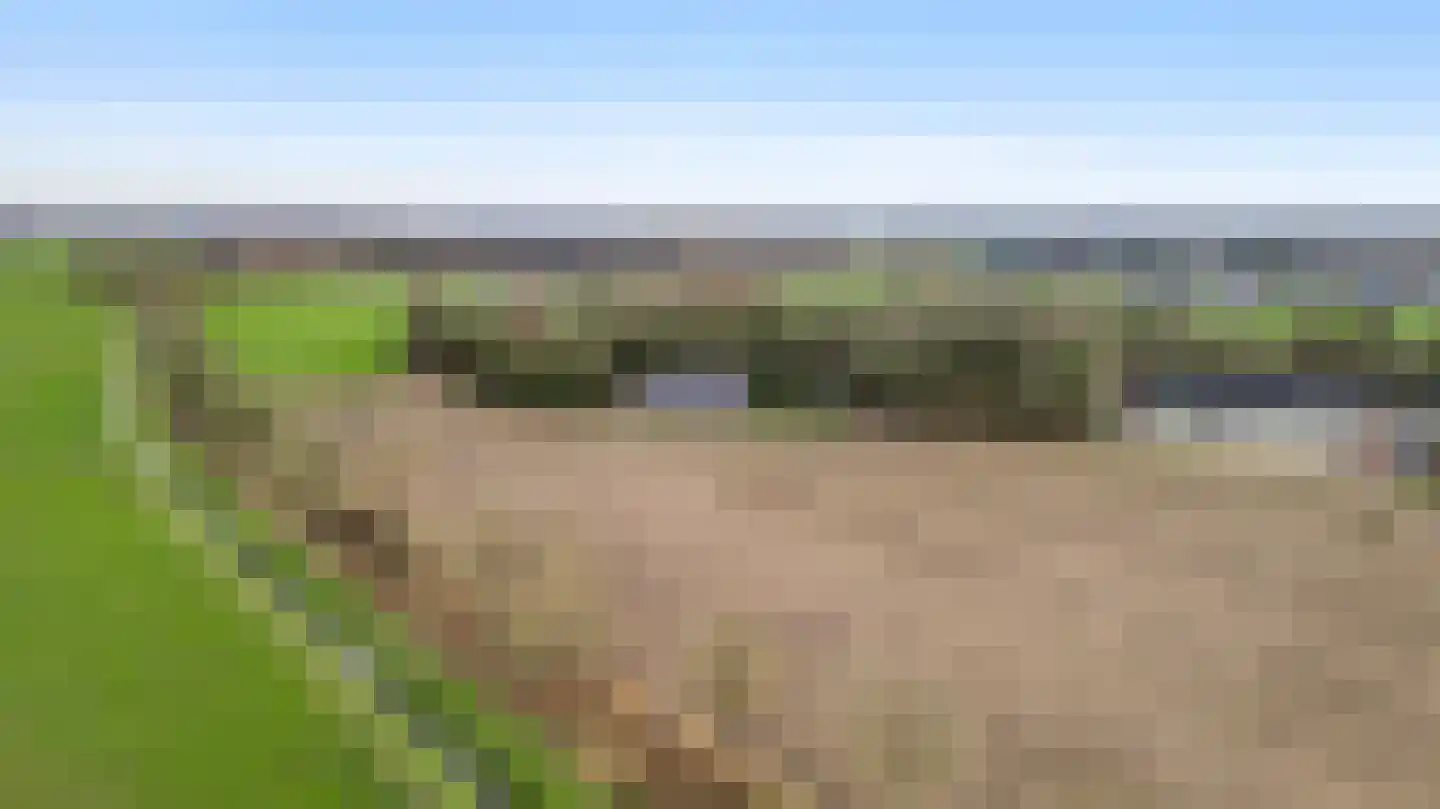 Braakpeel 5 Nederweert-Eind thumbnail 65