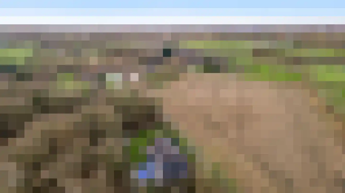 Braakpeel 5 Nederweert-Eind thumbnail 68