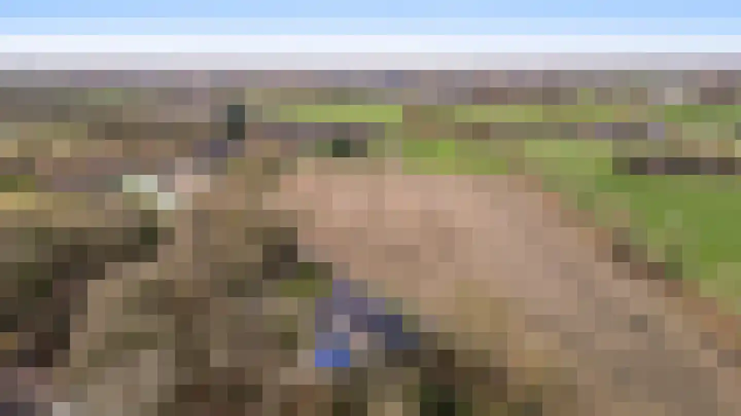 Braakpeel 5 Nederweert-Eind thumbnail 69