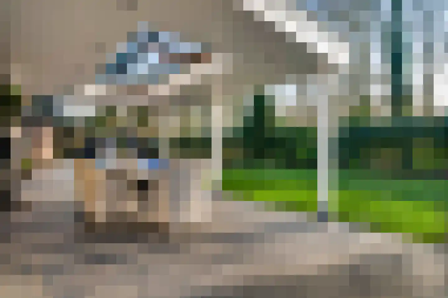 Braakpeel 5 Nederweert-Eind thumbnail 7