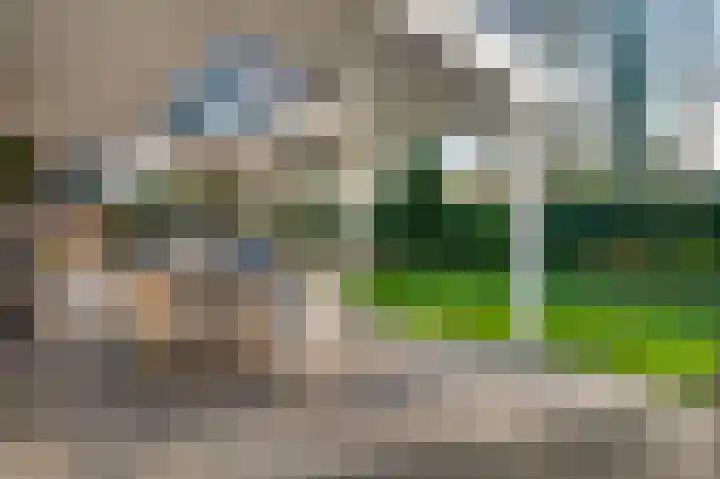 Braakpeel 5 Nederweert-Eind thumbnail 7