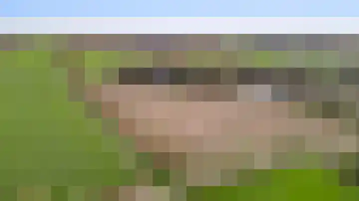 Braakpeel 5 Nederweert-Eind thumbnail 70