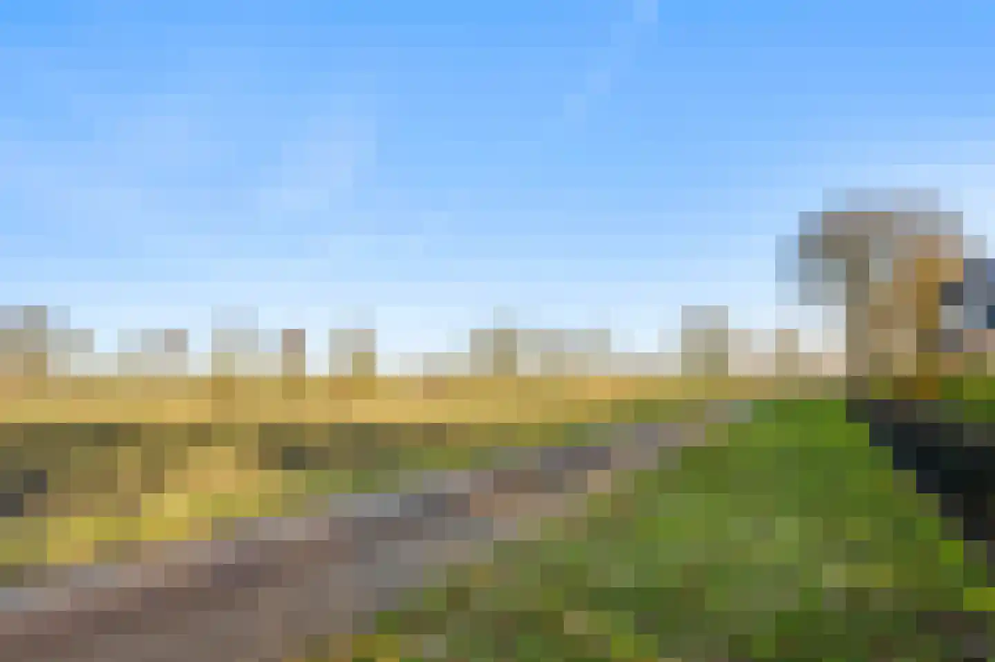 Braakpeel 5 Nederweert-Eind thumbnail 73
