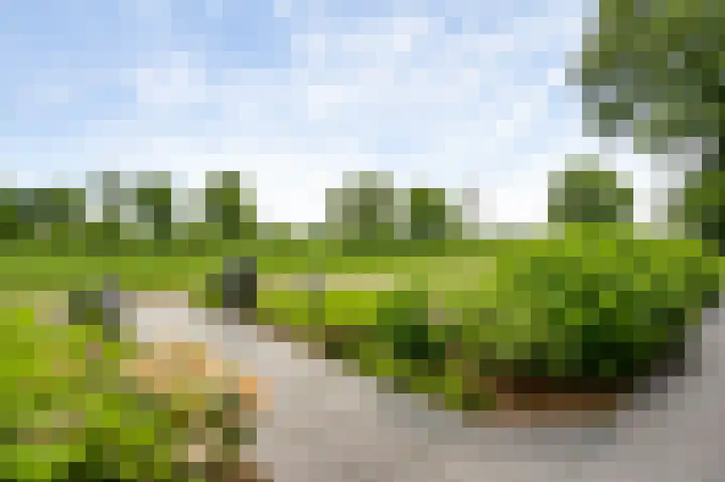 Braakpeel 5 Nederweert-Eind thumbnail 9