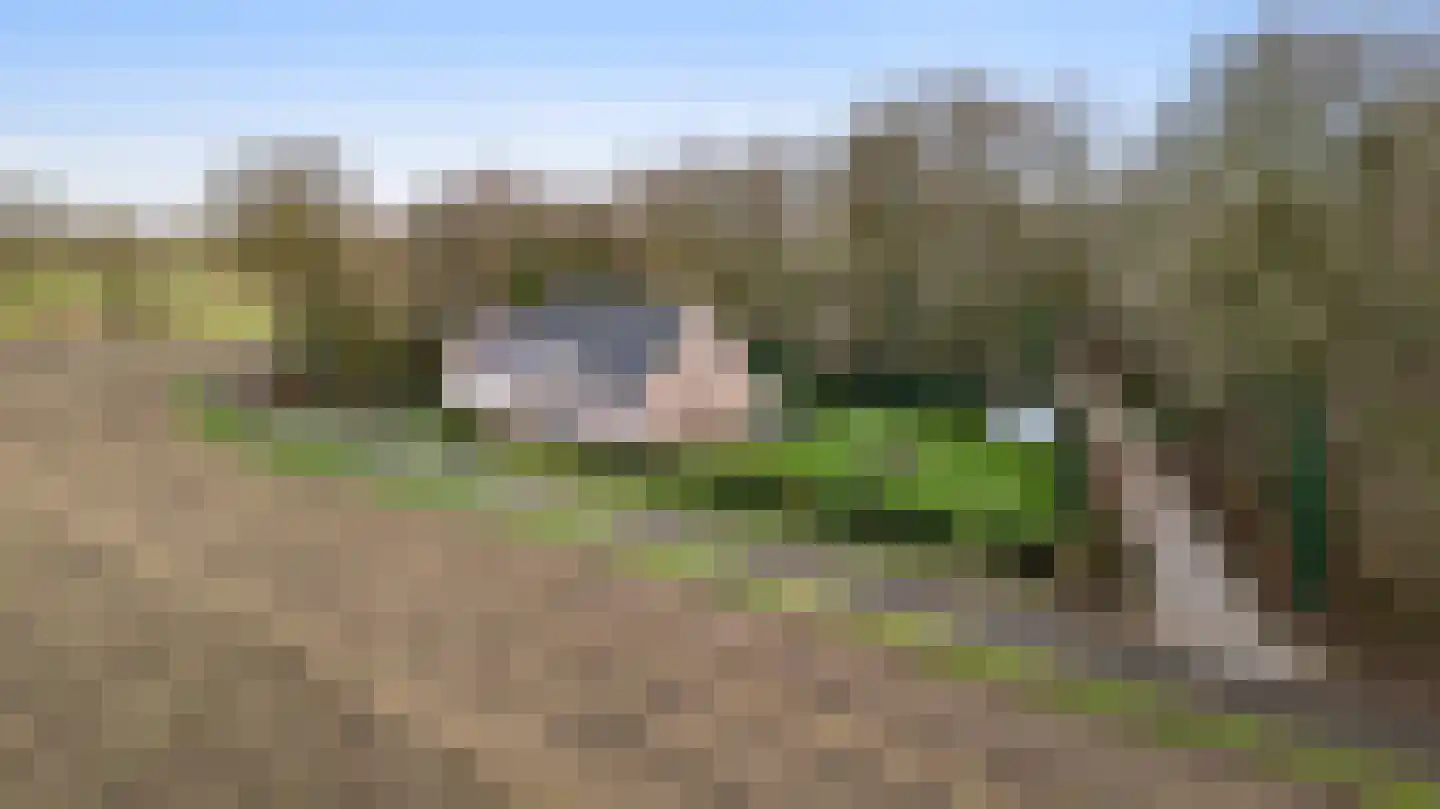 Braakpeel 5 Nederweert-Eind thumbnail 9