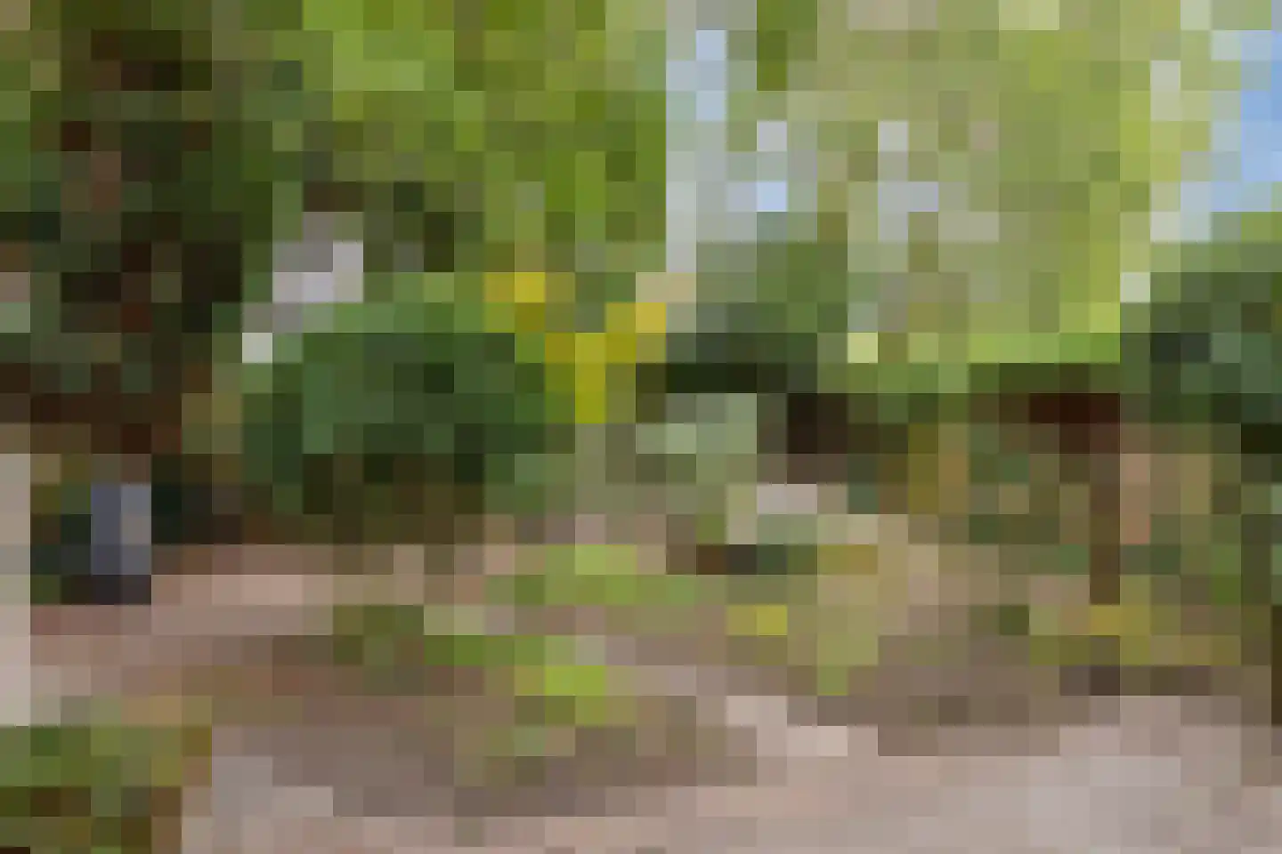 Braakstraat 100 Oss thumbnail 20
