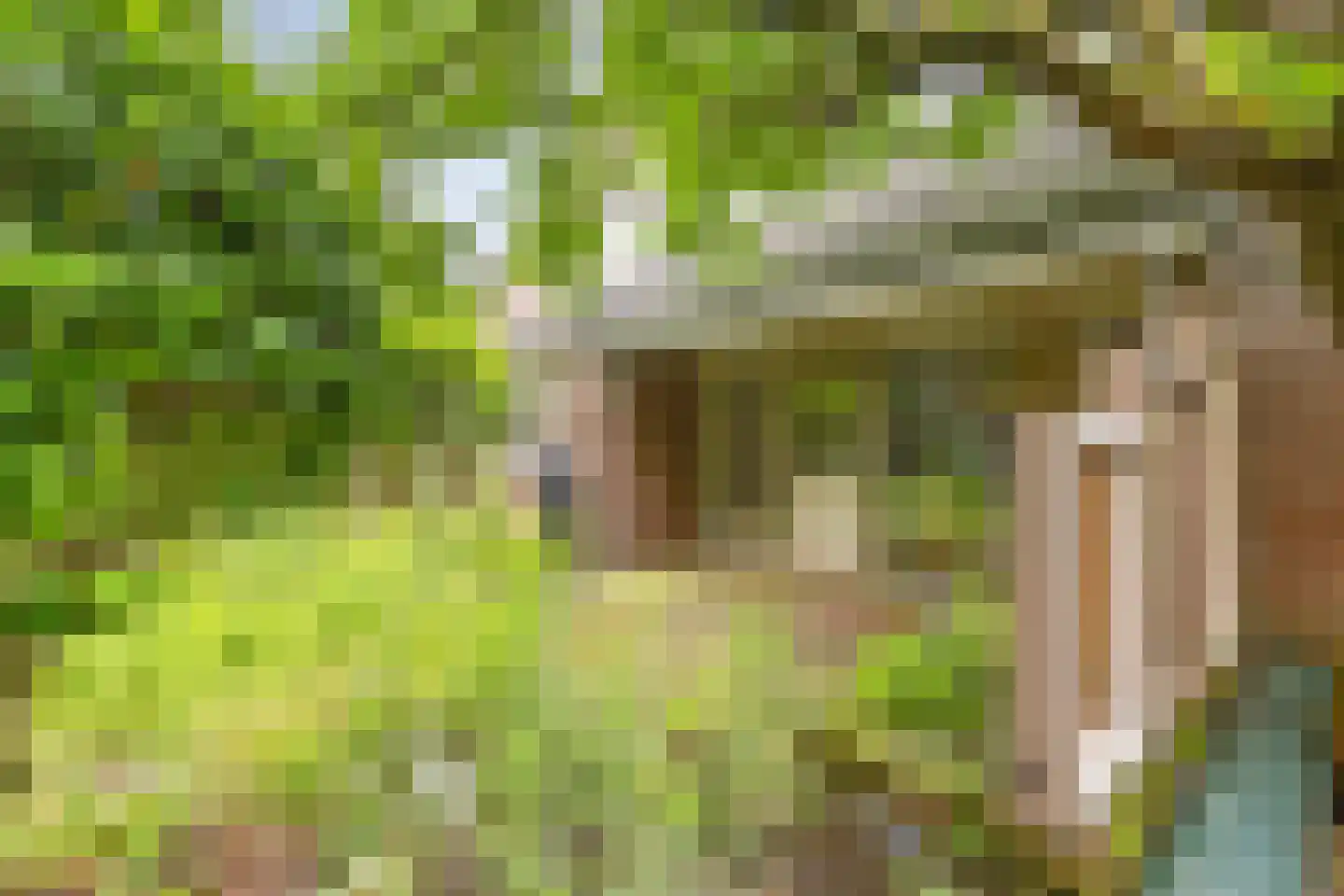 Braakstraat 100 Oss thumbnail 20