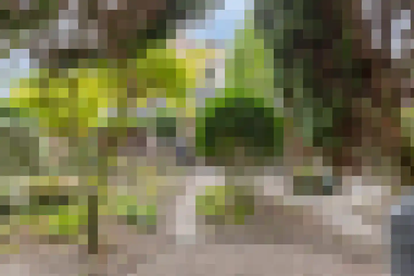 Braakstraat 100 Oss thumbnail 21