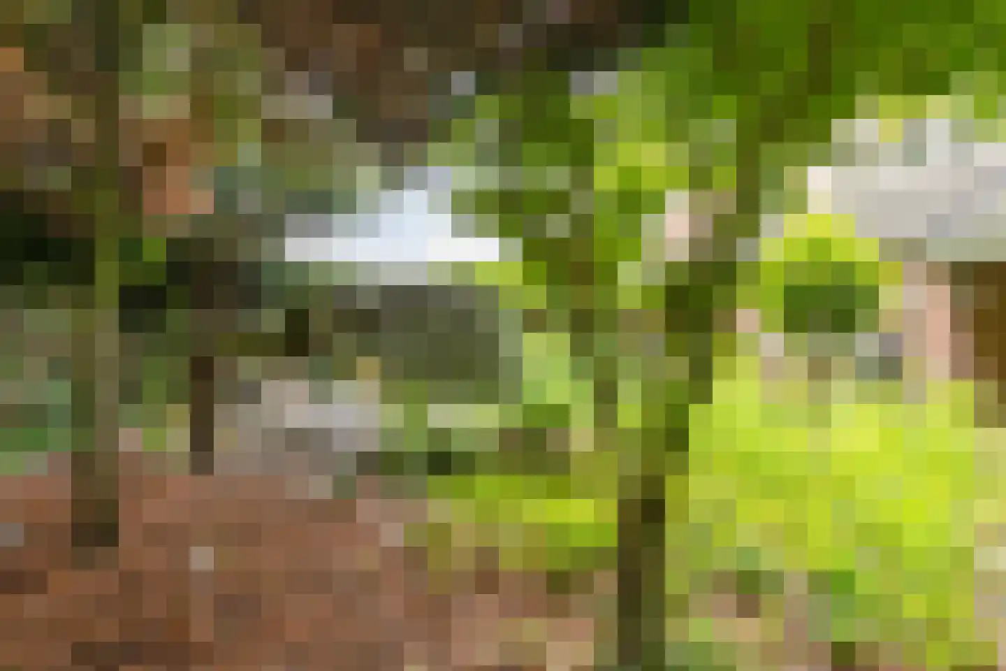 Braakstraat 100 Oss thumbnail 22