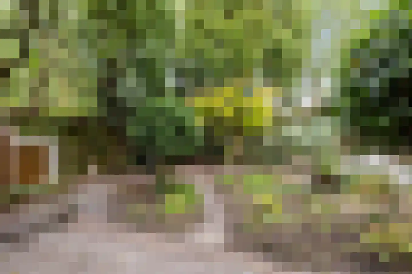Braakstraat 100 Oss thumbnail 22