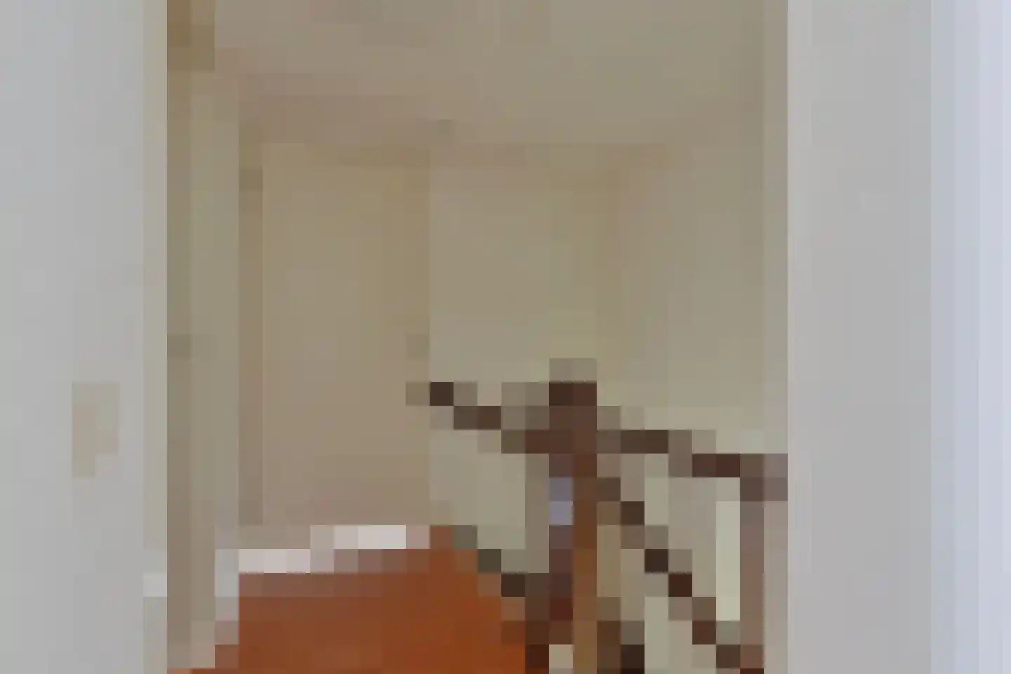 Braakstraat 100 Oss thumbnail 23