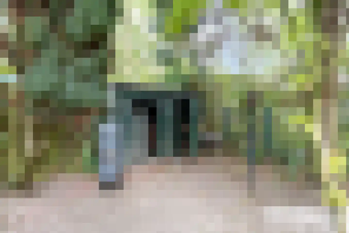Braakstraat 100 Oss thumbnail 24