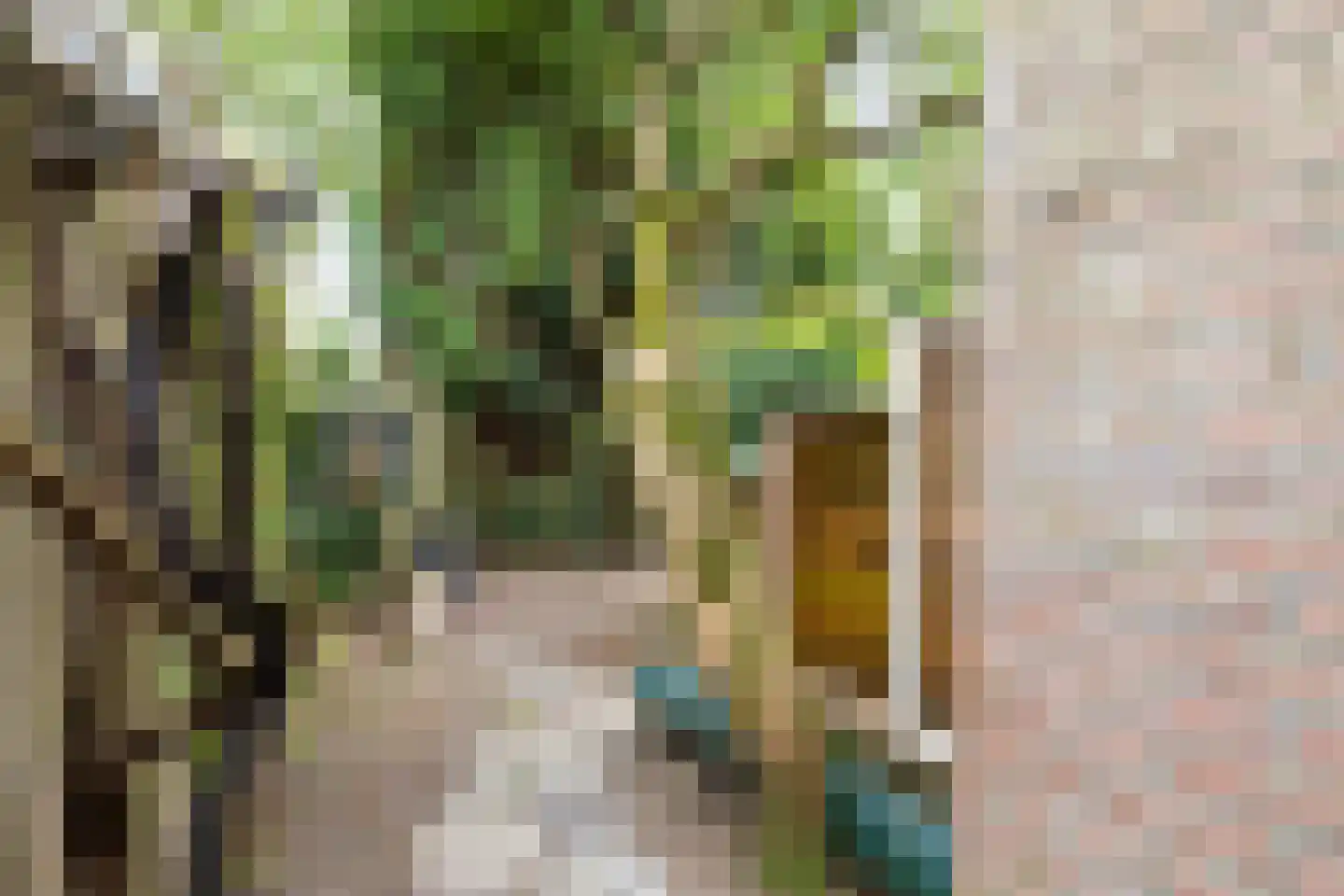 Braakstraat 100 Oss thumbnail 25