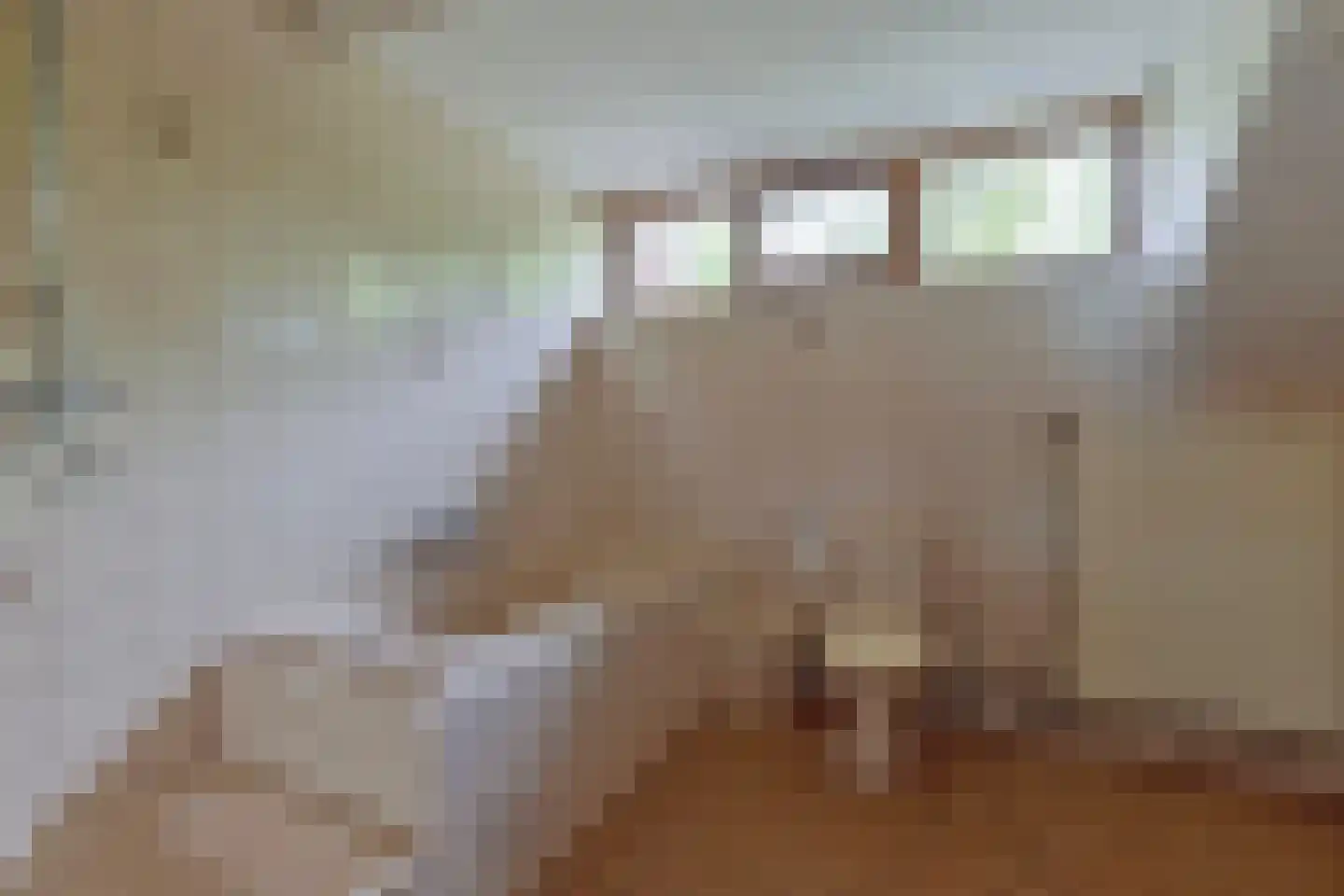 Braakstraat 100 Oss thumbnail 28