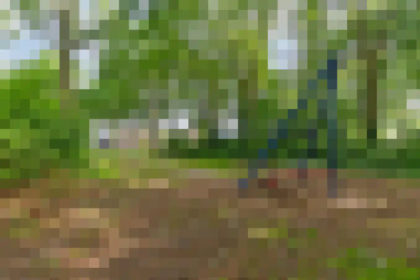 Braakstraat 100 Oss thumbnail 35