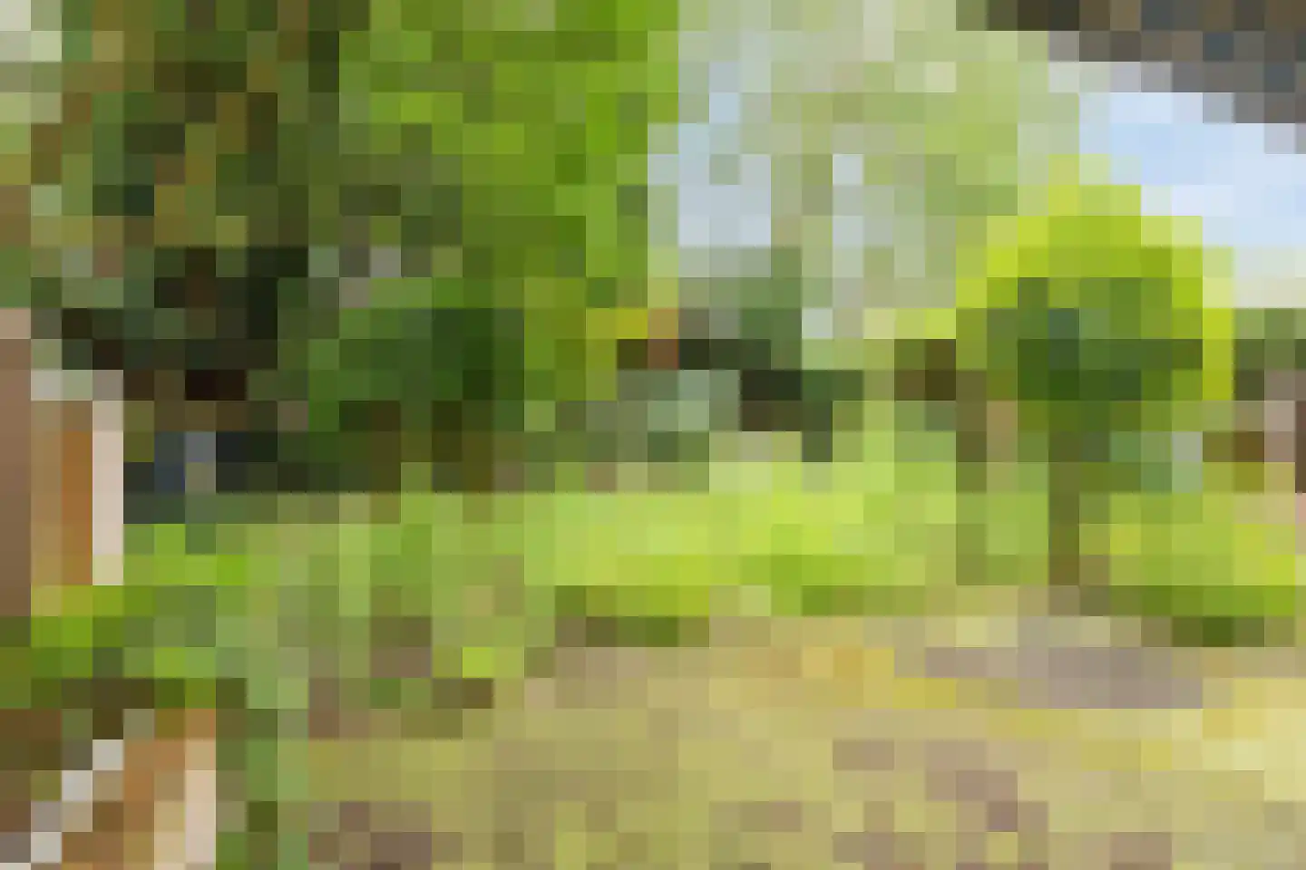 Braakstraat 100 Oss thumbnail 4