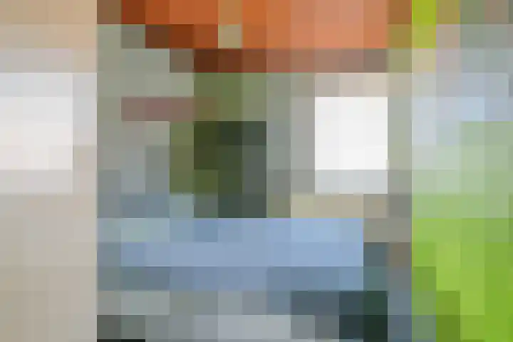 Braakstraat 104 Oss thumbnail 21