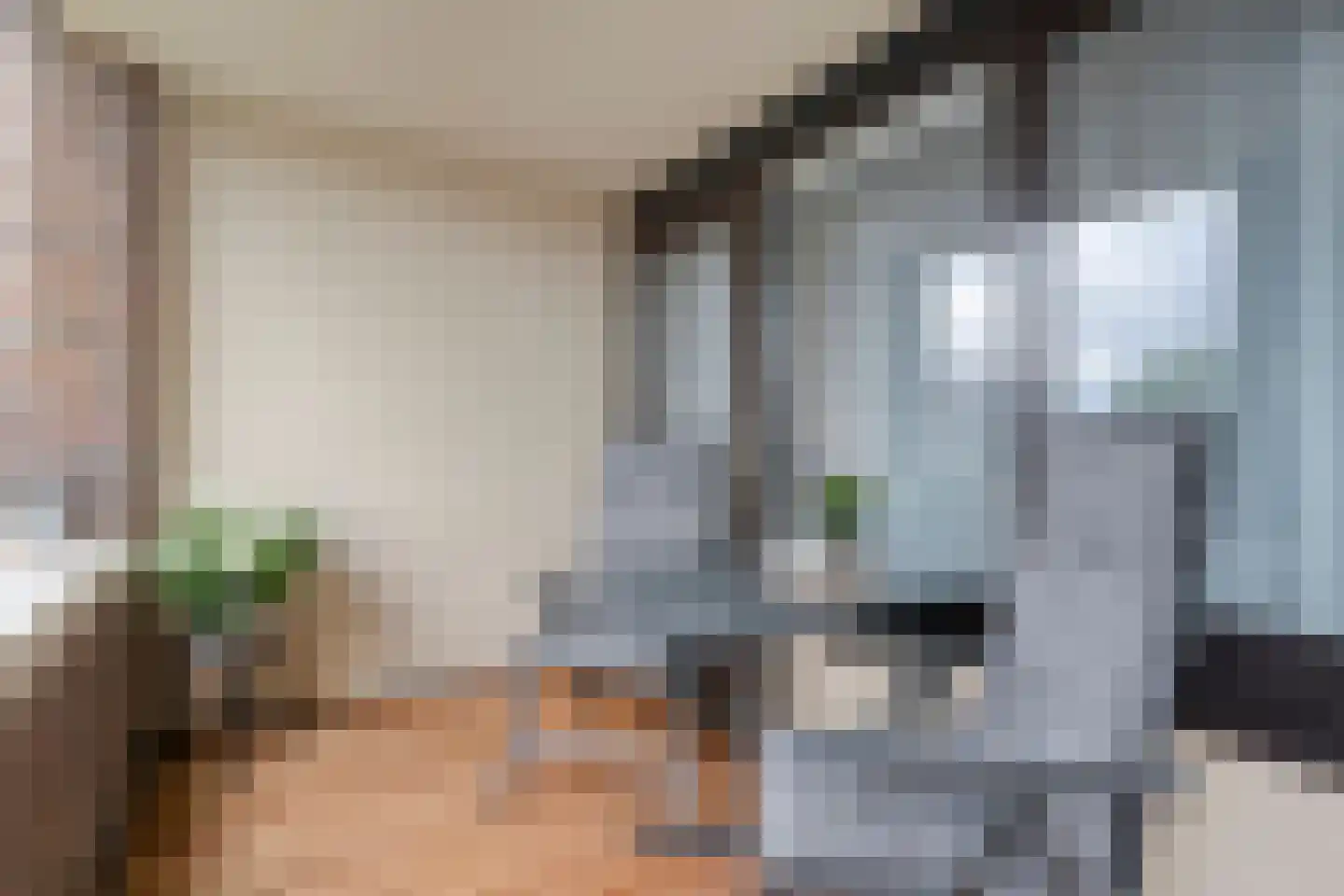 Braakstraat 2 6 Losser thumbnail 32