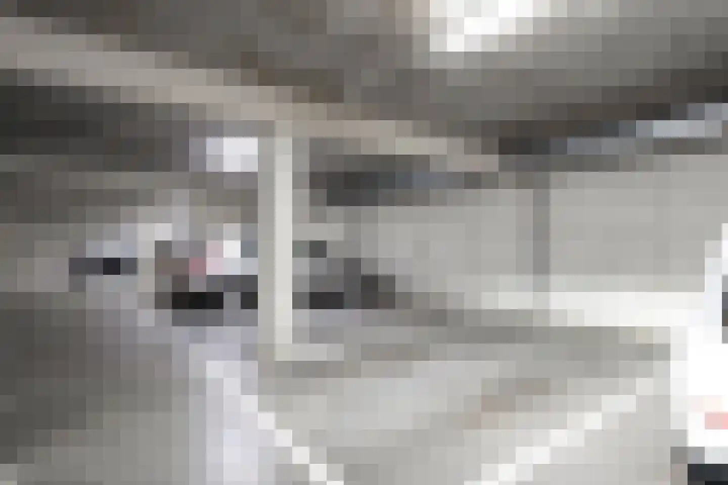 Braakstraat 2 6 Losser thumbnail 38