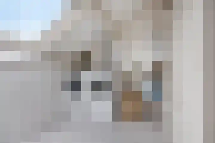 Braakstraat 30 Oss thumbnail 23