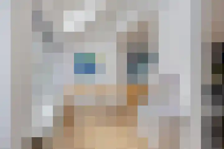 Braakstraat 30 Oss thumbnail 7