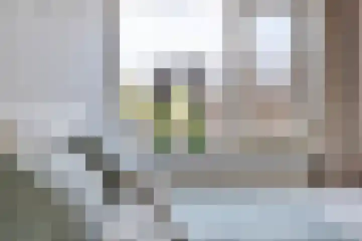 Braakstraat 45 Oss thumbnail 17