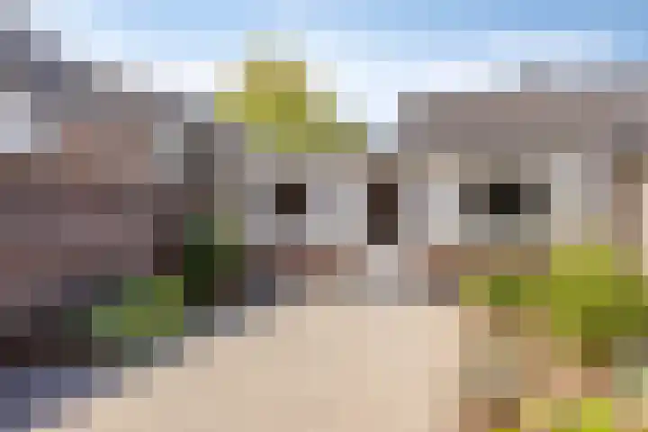 Braakstraat 45 Oss thumbnail 34