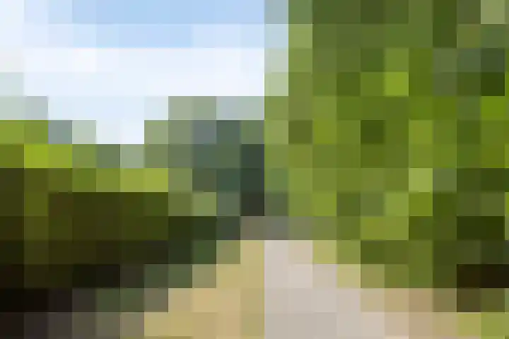 Braakstraat 45 Oss thumbnail 41