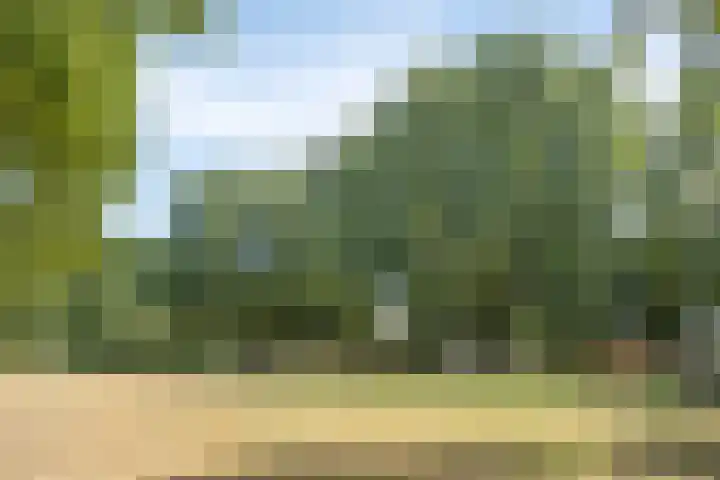 Braakstraat 45 Oss thumbnail 42