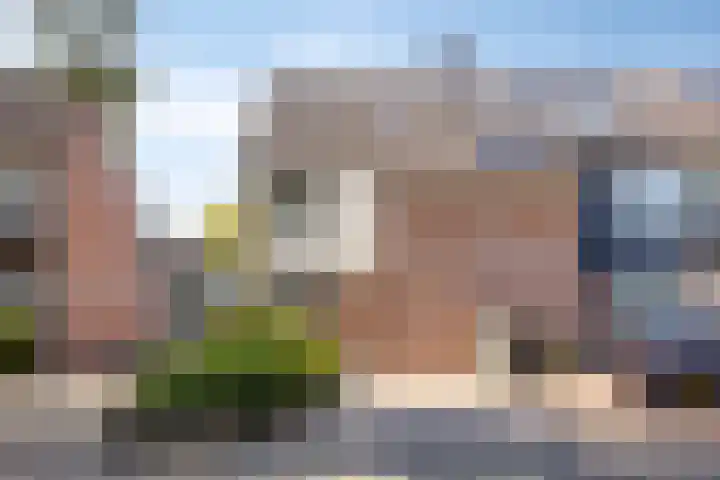 Braakstraat 45 Oss thumbnail 5