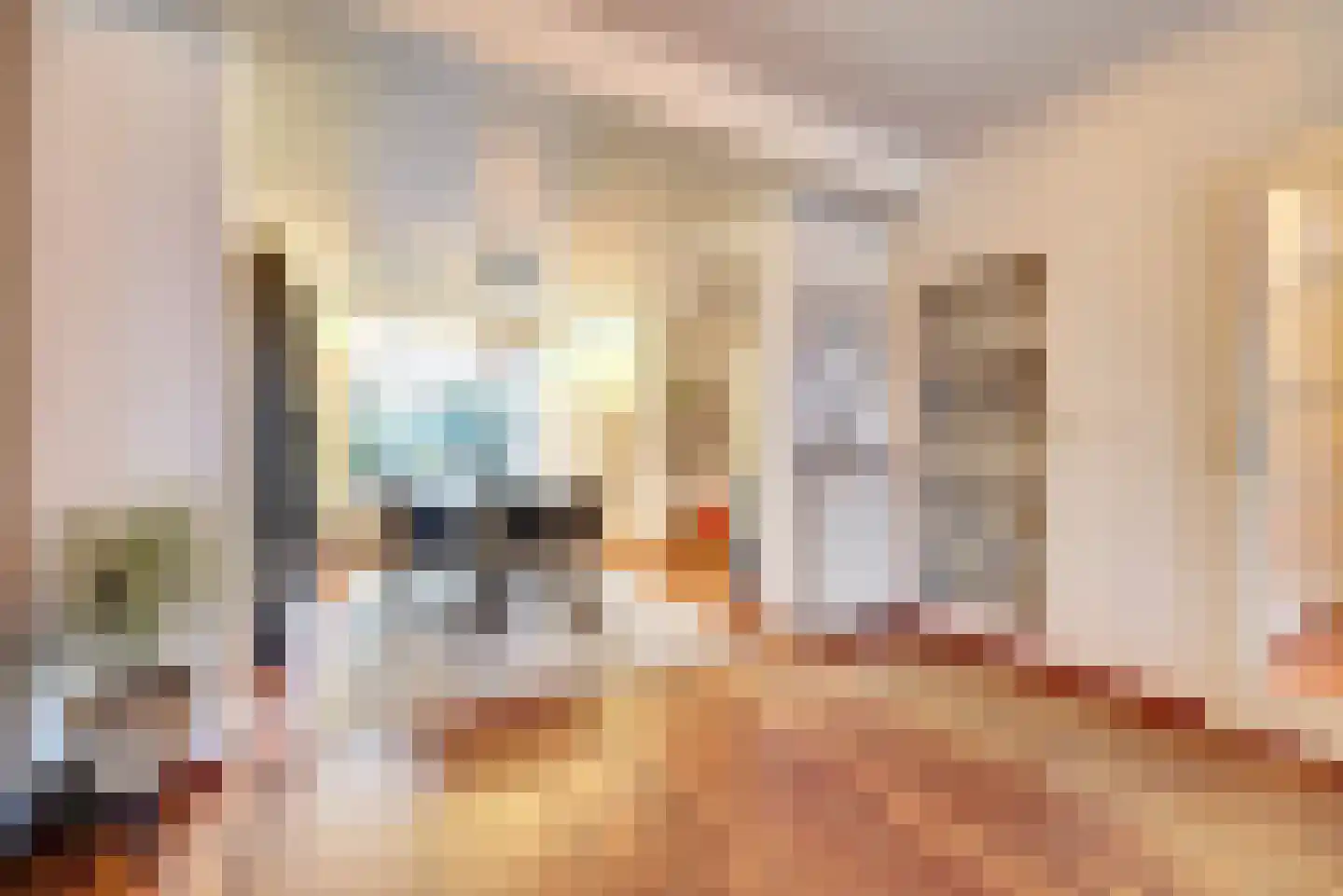Braakstraat 91 Oss thumbnail 17