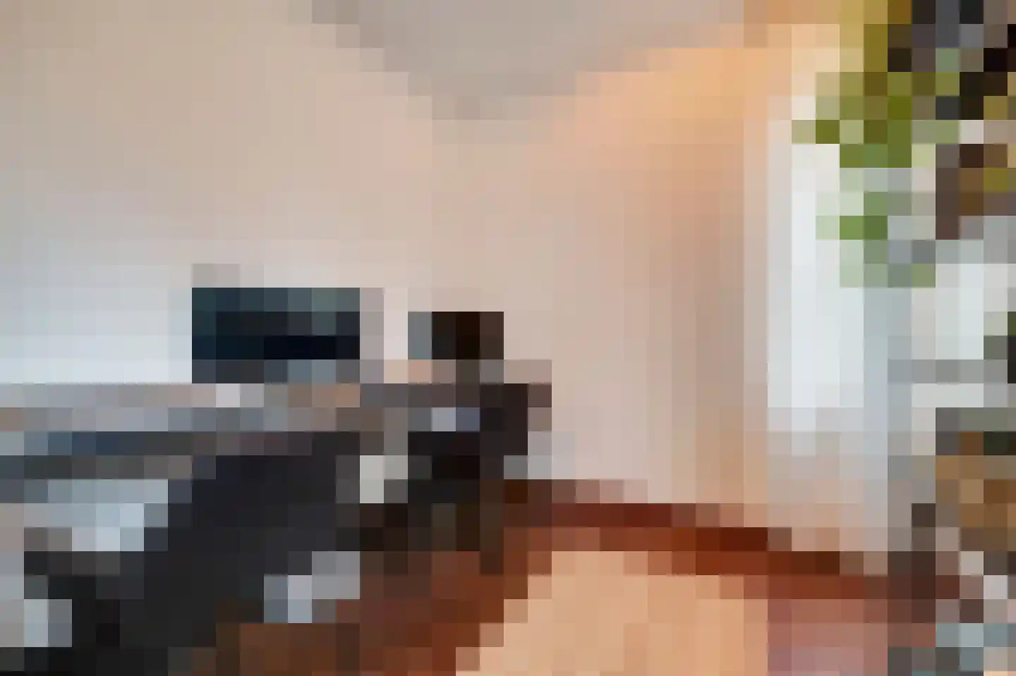 Braakstraat 91 Oss thumbnail 19