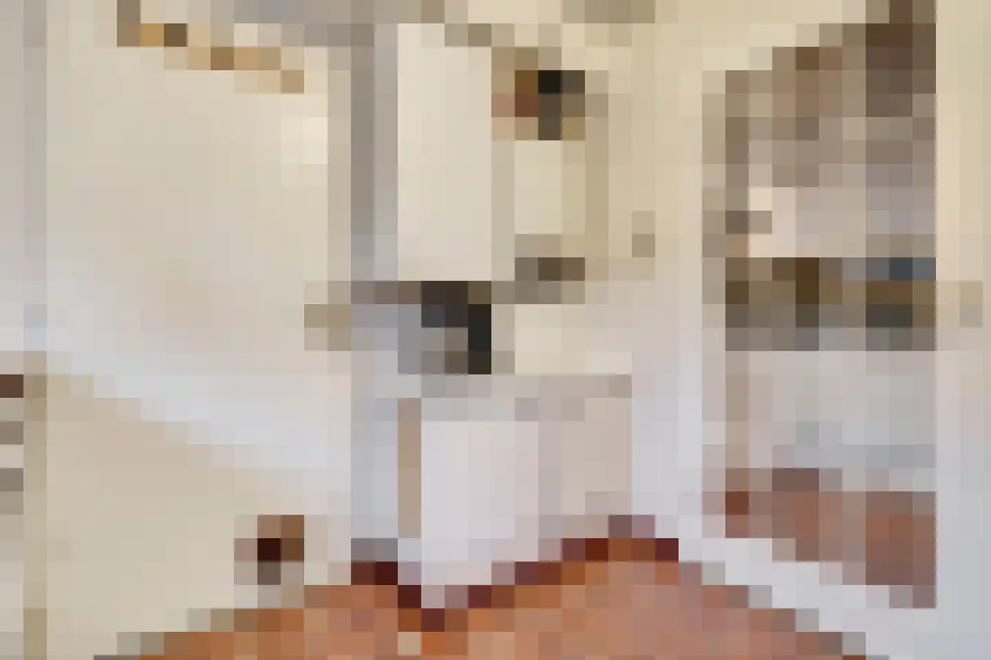 Braakstraat 91 Oss thumbnail 28