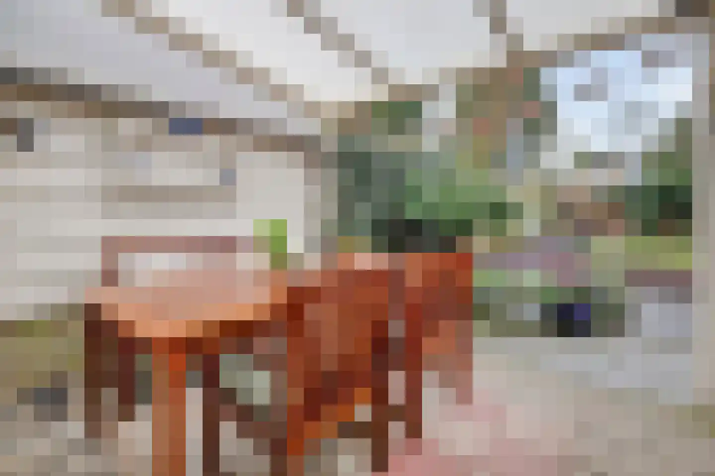 Braakstraat 91 Oss thumbnail 38