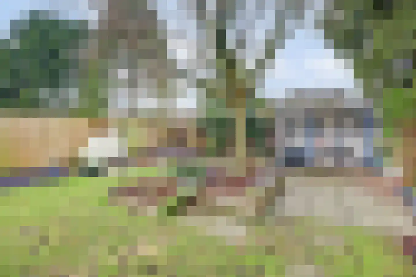Braakstraat 91 Oss thumbnail 45