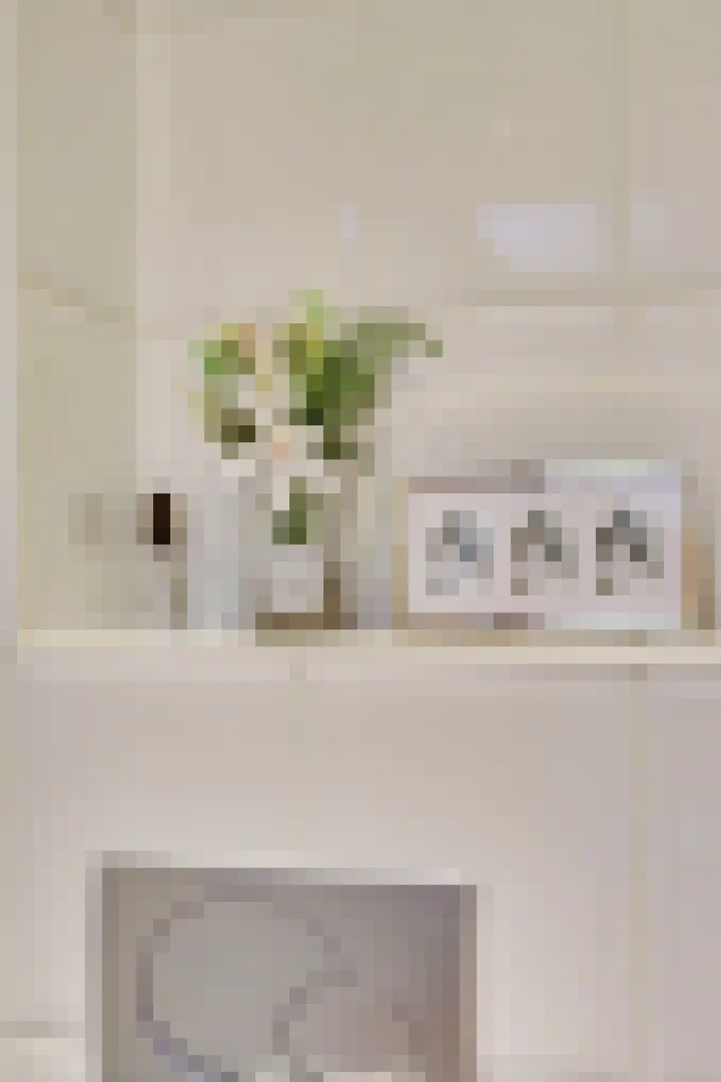 Braakstraat 91 Oss thumbnail 9