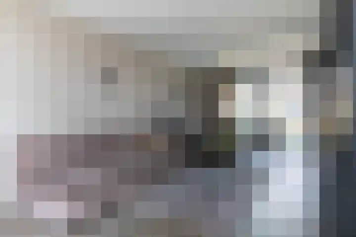 Braakven 25 Berlicum thumbnail 11