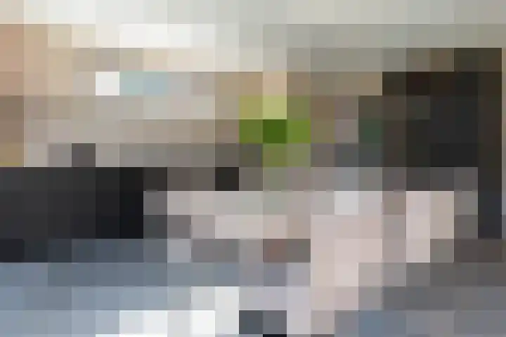 Braakven 25 Berlicum thumbnail 16