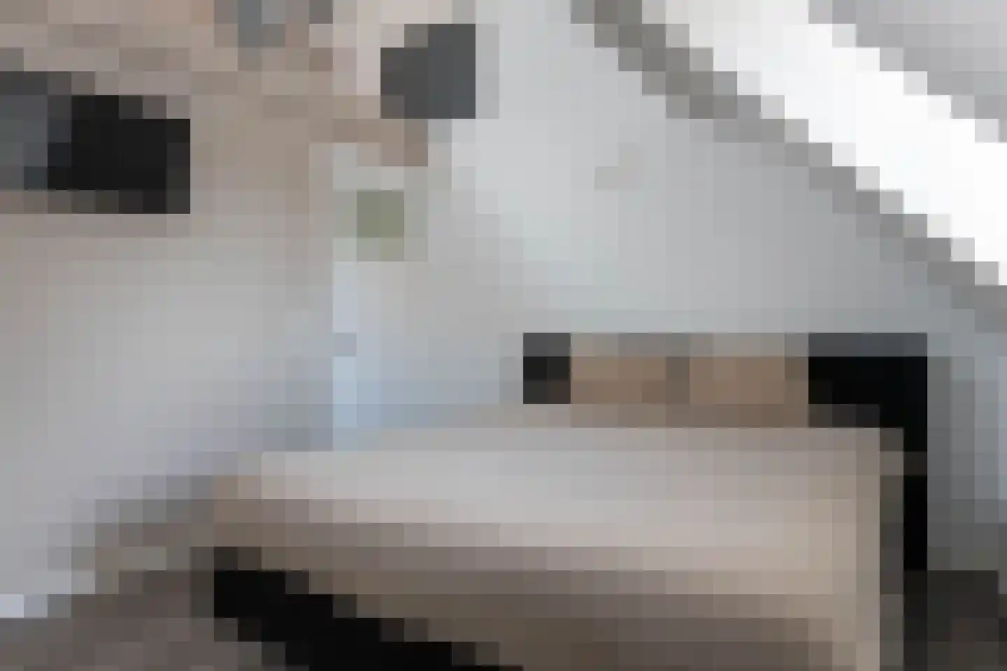 Braakven 25 Berlicum thumbnail 22
