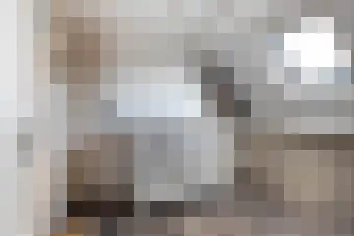 Braakven 25 Berlicum thumbnail 23