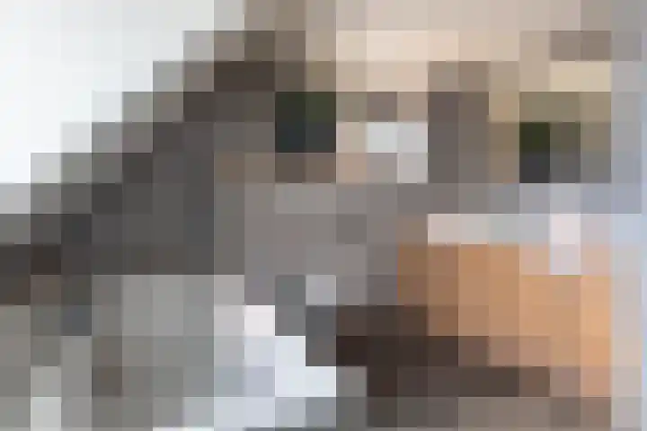Braakven 25 Berlicum thumbnail 27