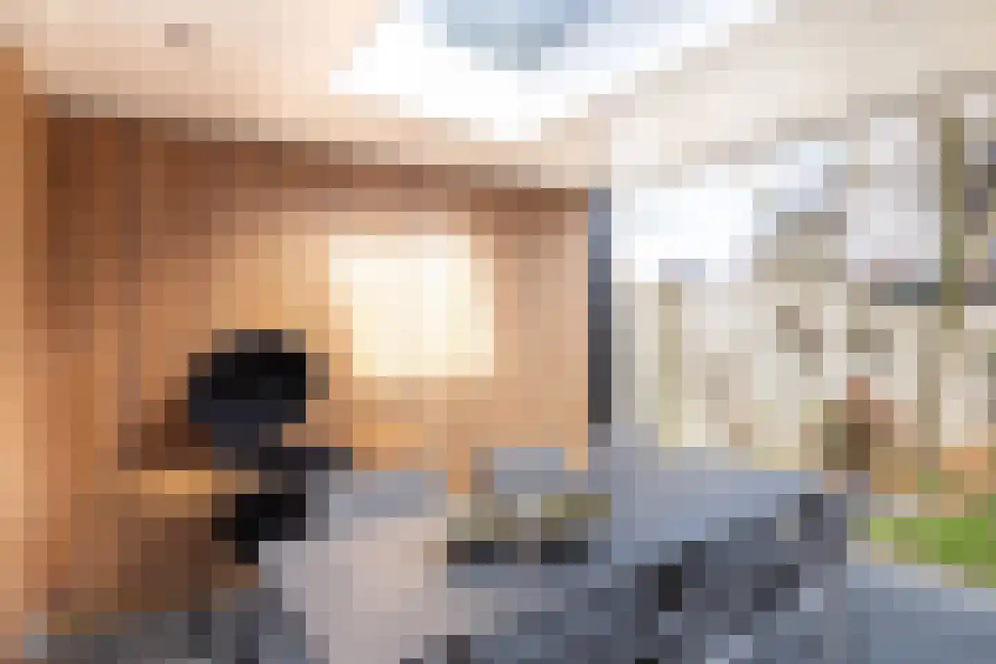 Braakven 25 Berlicum thumbnail 39