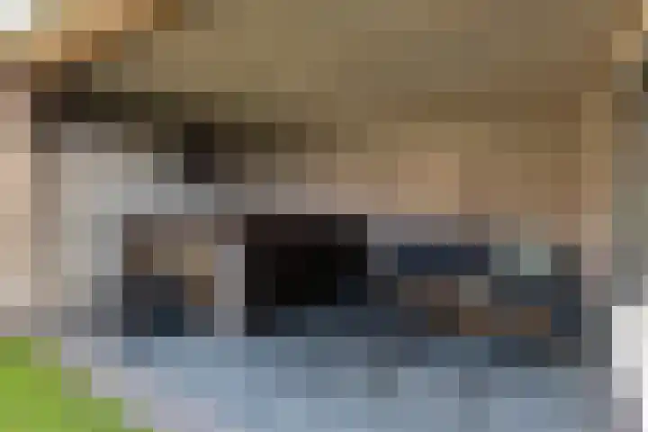 Braakven 25 Berlicum thumbnail 41