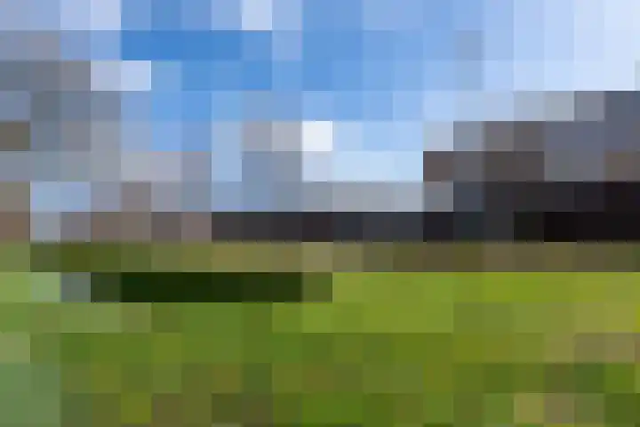 Braakven 25 Berlicum thumbnail 47