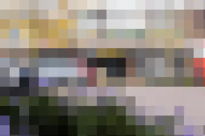 Braakven 25 Berlicum thumbnail 48