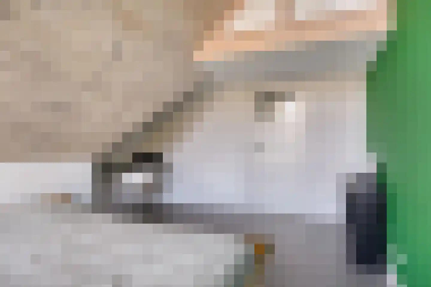 Braakven 29 Berlicum thumbnail 31