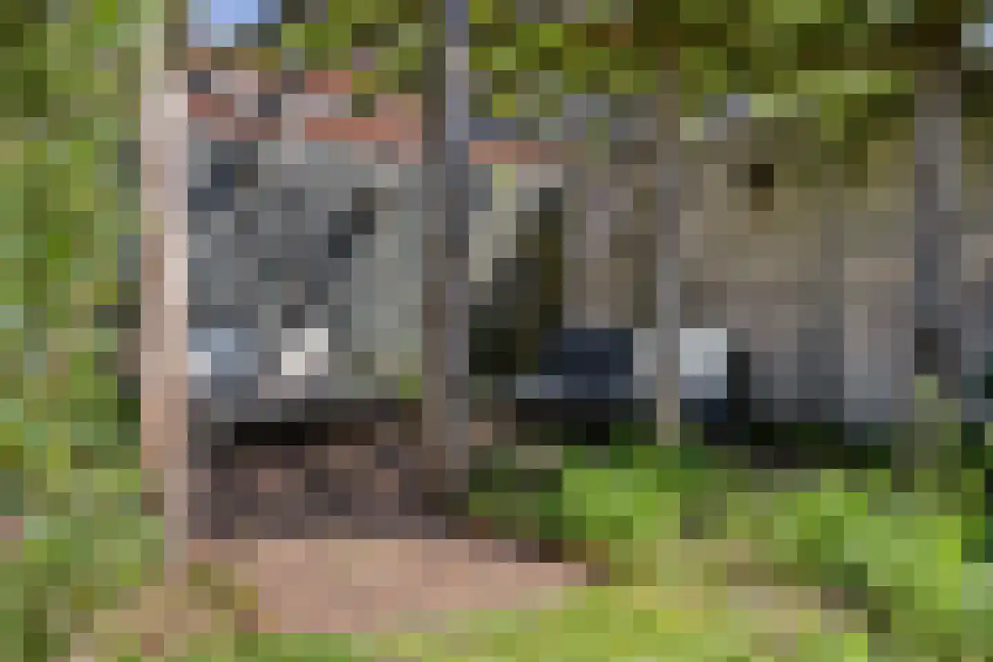 Braakven 29 Berlicum thumbnail 44