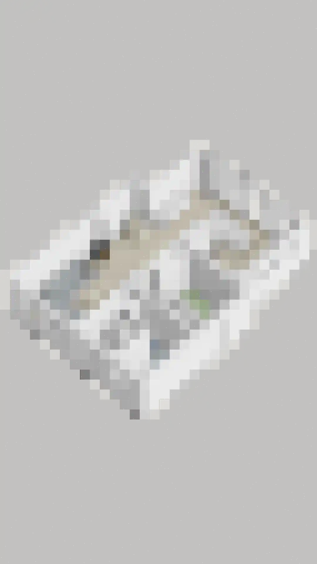 Braakven 29 Berlicum thumbnail 64